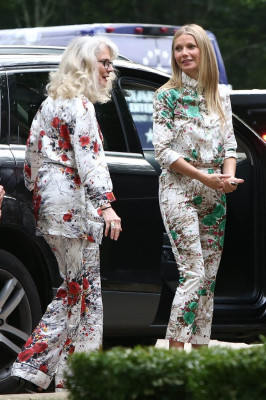 Gwyneth Paltrow pic #952392