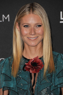 Gwyneth Paltrow pic #810815