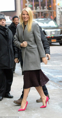 Gwyneth Paltrow pic #755644