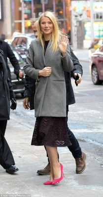 Gwyneth Paltrow pic #755641