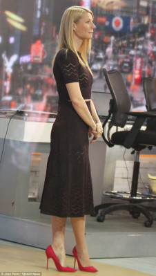 Gwyneth Paltrow pic #755646