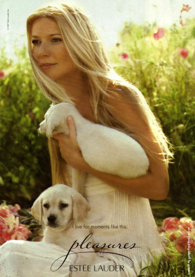 Gwyneth Paltrow pic #212440