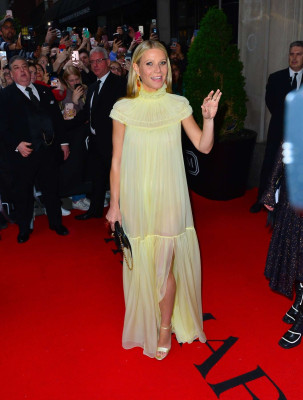 Gwyneth Paltrow pic #1131676
