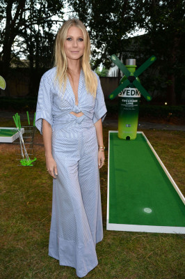 Gwyneth Paltrow pic #859843