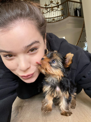 Hailee Steinfeld pic #1213375
