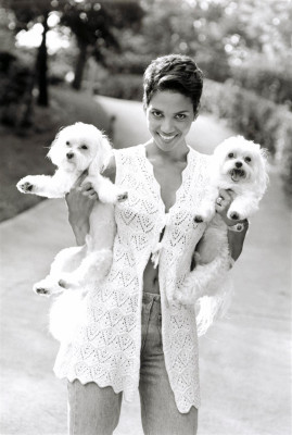 photo 4 in Halle Berry gallery [id125755] 2009-01-10 00:00:00