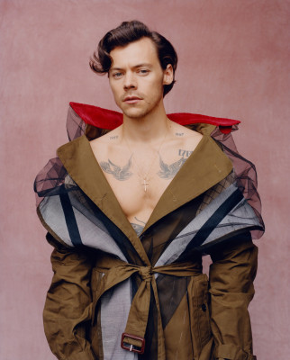 photo 18 in Harry Styles gallery [id1240199] 2020-11-17 00:00:00
