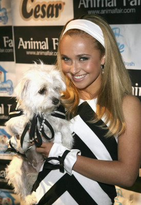 Hayden Panettiere  pic #137581