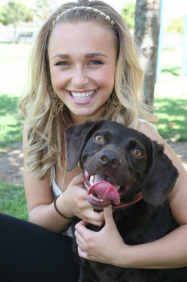 Hayden Panettiere  pic #524069