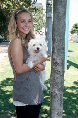 Hayden Panettiere  pic #524071