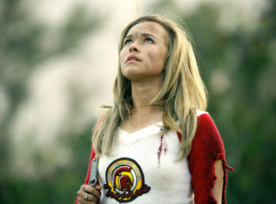 Hayden Panettiere  pic #537463