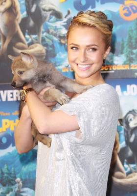 Hayden Panettiere  pic #295490