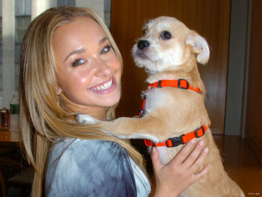 Hayden Panettiere  pic #144553