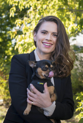 Hayley Atwell pic #1291089