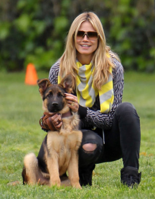 Heidi Klum pic #641616