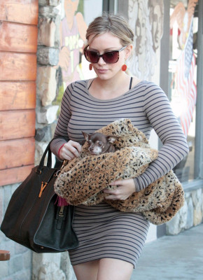 Hilary Duff pic #417412