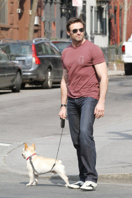 Hugh Jackman pic #691423