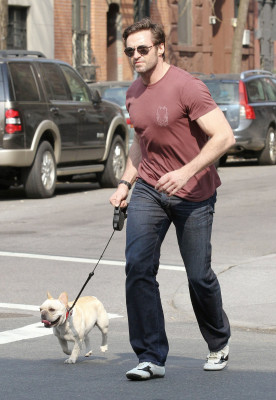 Hugh Jackman pic #691422