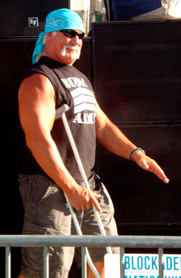 Hulk Hogan pic #148628