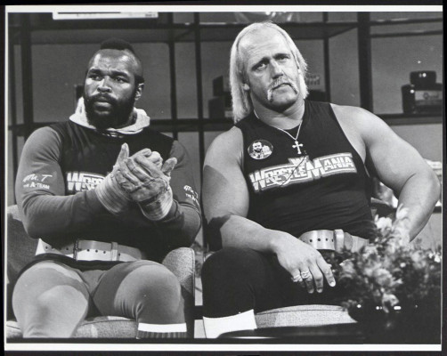 Hulk Hogan pic #119905