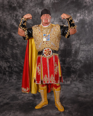 Hulk Hogan pic #119904
