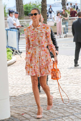 Izabel Goulart pic #1139154