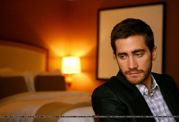 Jake Gyllenhaal pic #244155