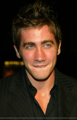 Jake Gyllenhaal pic #256793