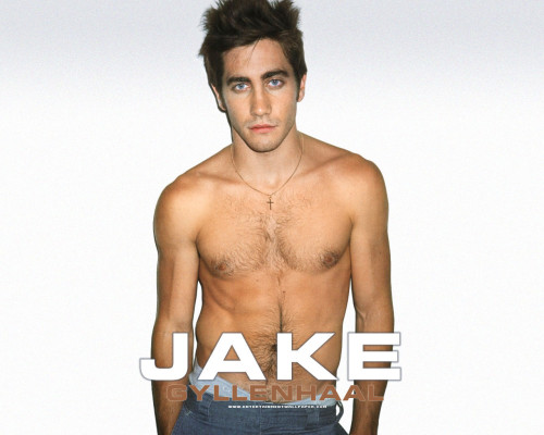 Jake Gyllenhaal pic #257832