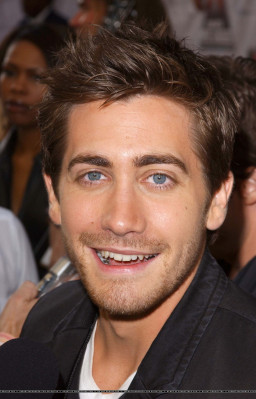 Jake Gyllenhaal pic #256805