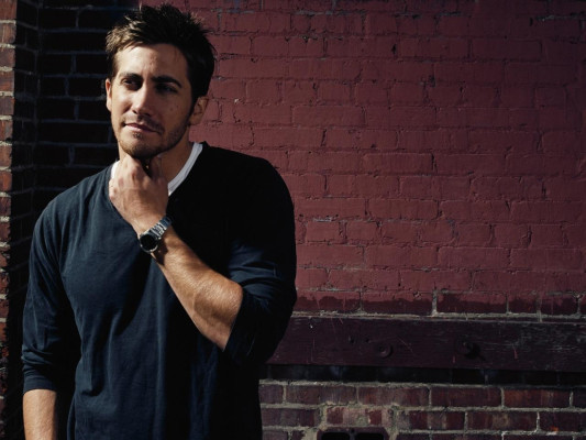 photo 4 in Gyllenhaal gallery [id257500] 2010-05-20 00:00:00
