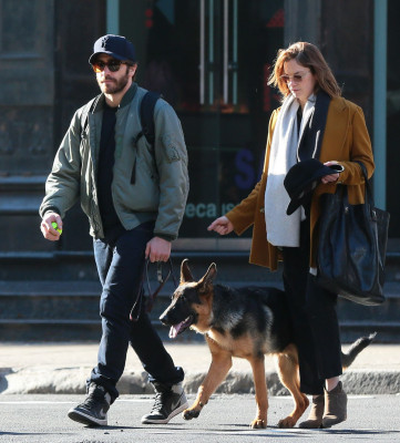 Jake Gyllenhaal pic #751752