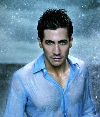 photo 8 in Gyllenhaal gallery [id47770] -0001-11-30 00:00:00