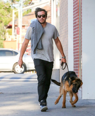 Jake Gyllenhaal pic #770540