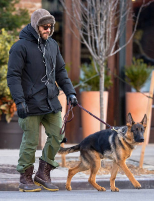 photo 23 in Gyllenhaal gallery [id752950] 2015-01-14 00:00:00
