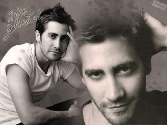 photo 11 in Gyllenhaal gallery [id257490] 2010-05-20 00:00:00
