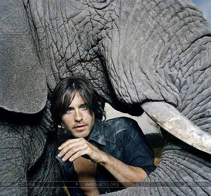 photo 11 in Jared gallery [id42807] -0001-11-30 00:00:00