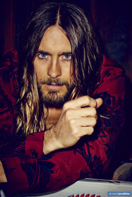 photo 7 in Jared gallery [id1224620] 2020-07-31 00:00:00