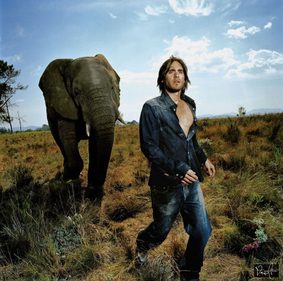 photo 28 in Jared gallery [id1235728] 2020-10-09 00:00:00