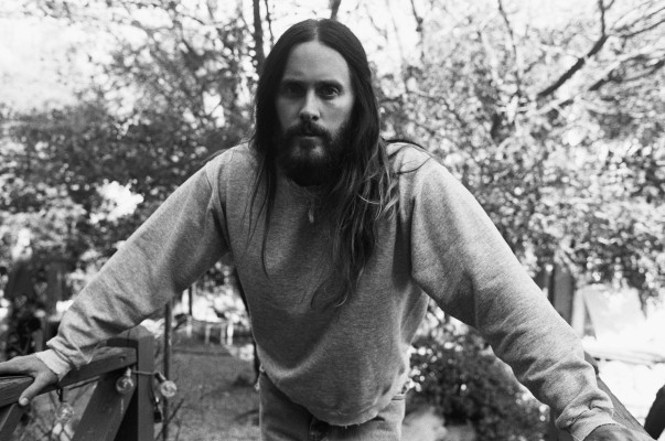 photo 6 in Jared gallery [id1238630] 2020-11-03 00:00:00