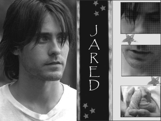 photo 27 in Jared gallery [id39509] -0001-11-30 00:00:00