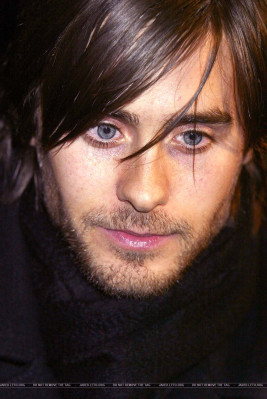 photo 4 in Jared gallery [id42814] -0001-11-30 00:00:00