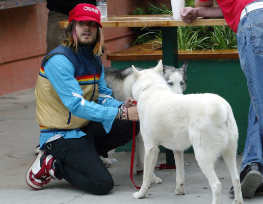 photo 8 in Jared Leto gallery [id578991] 2013-03-02 00:00:00