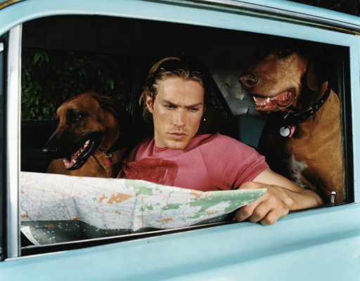 Jason Lewis pic #104410