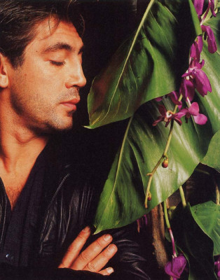 photo 24 in Bardem gallery [id189784] 2009-10-13 00:00:00