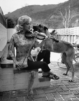 photo 21 in Jayne Mansfield gallery [id479356] 2012-04-23 00:00:00