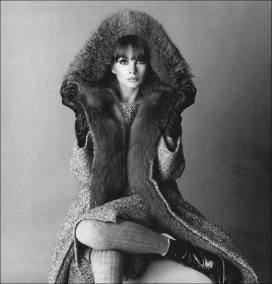 photo 29 in Shrimpton gallery [id375498] 2011-05-05 00:00:00