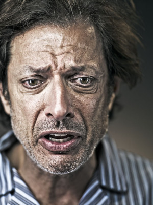 photo 12 in Goldblum gallery [id295179] 2010-10-13 00:00:00