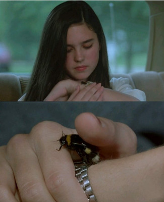 Jennifer Connelly pic #1231855