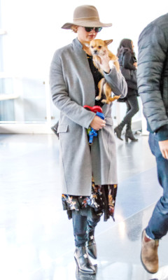 Jennifer Lawrence pic #996067